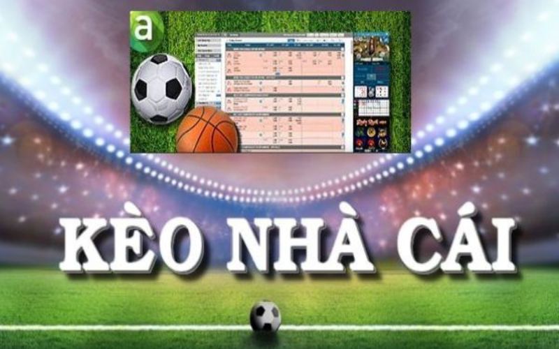 Cá độ bóng đá FB88
