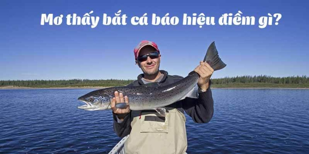 Nằm mơ bắt cá đánh con gì chuẩn xác nhất