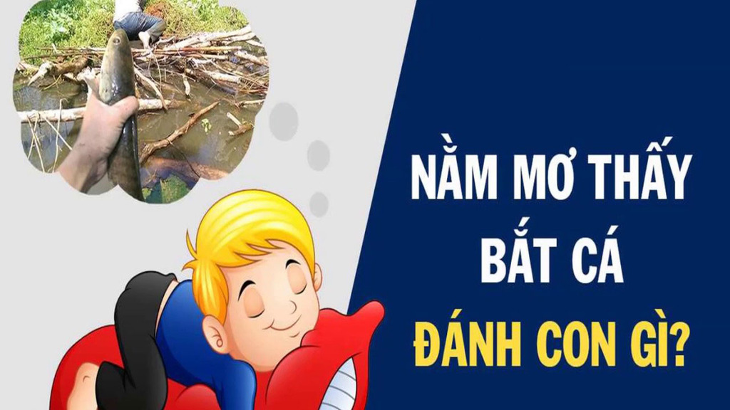 giấc mơ bắt cá đánh con gì