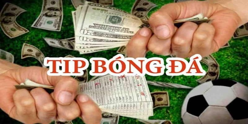 Soi Kèo Nội Gián Là Gì - Những Bí Ẩn Bạn Có Thể Chưa Biết