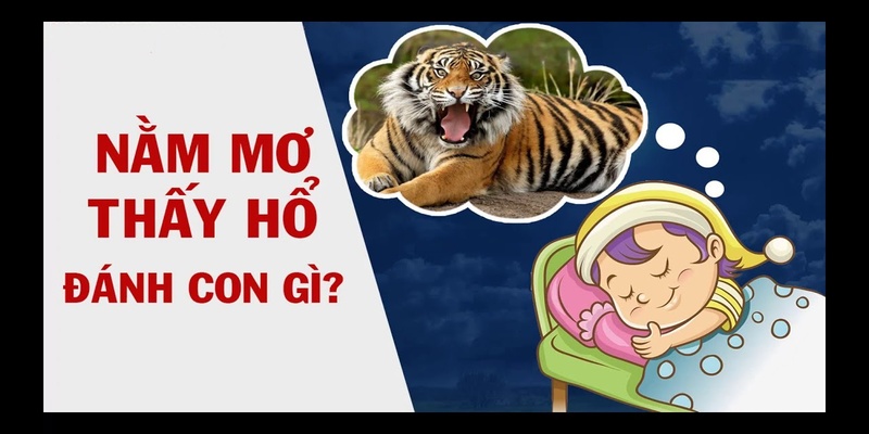 Nằm mơ thấy cọp đánh số gì?