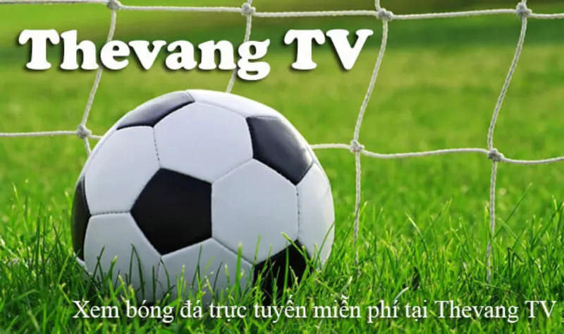 Hướng dẫn người xem cách tìm link vào Thevang TV